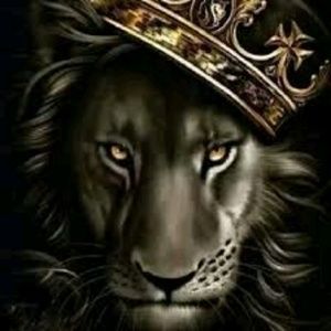 Meet your Posher, Kat